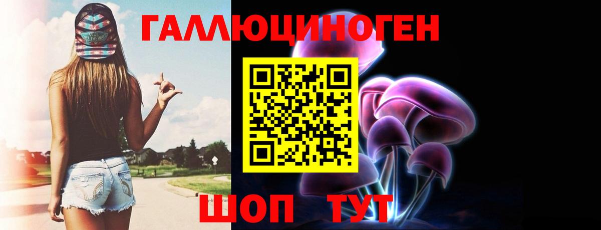 Псилоцибиновые грибы Psilocybine cubensis Лесозаводск